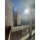 Pintor Oliva